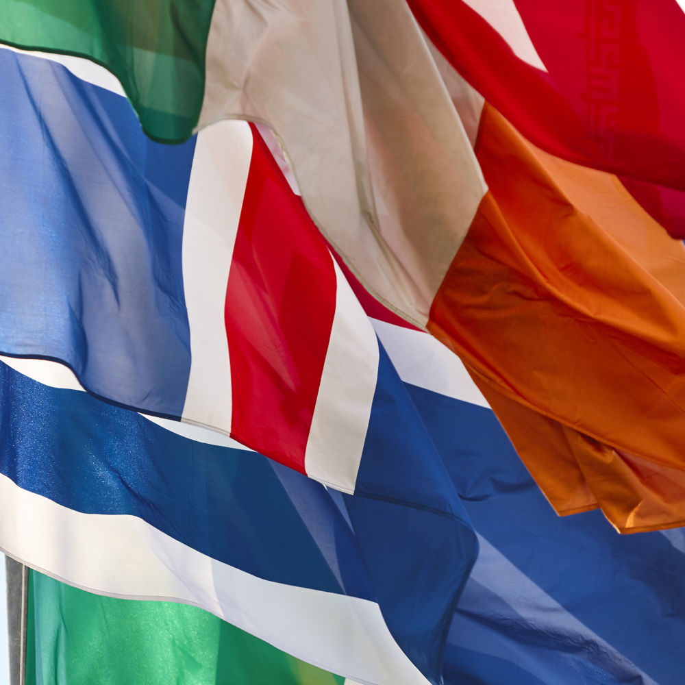 Dr TMA Multilingual Support in 12 Languages